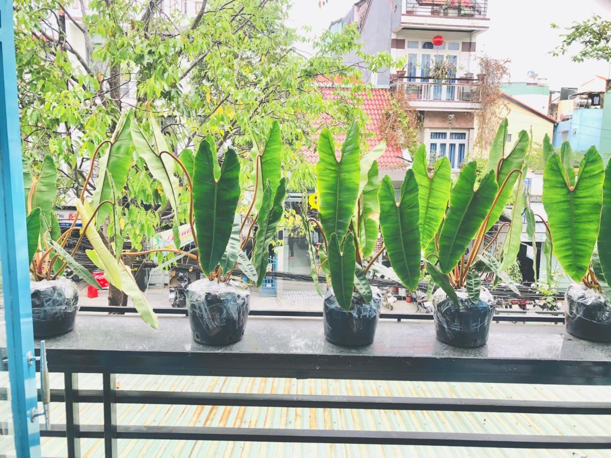 An'S Family Homestay Hoi An - 5Mins Walk To Hoi An Ancient Town Esterno foto